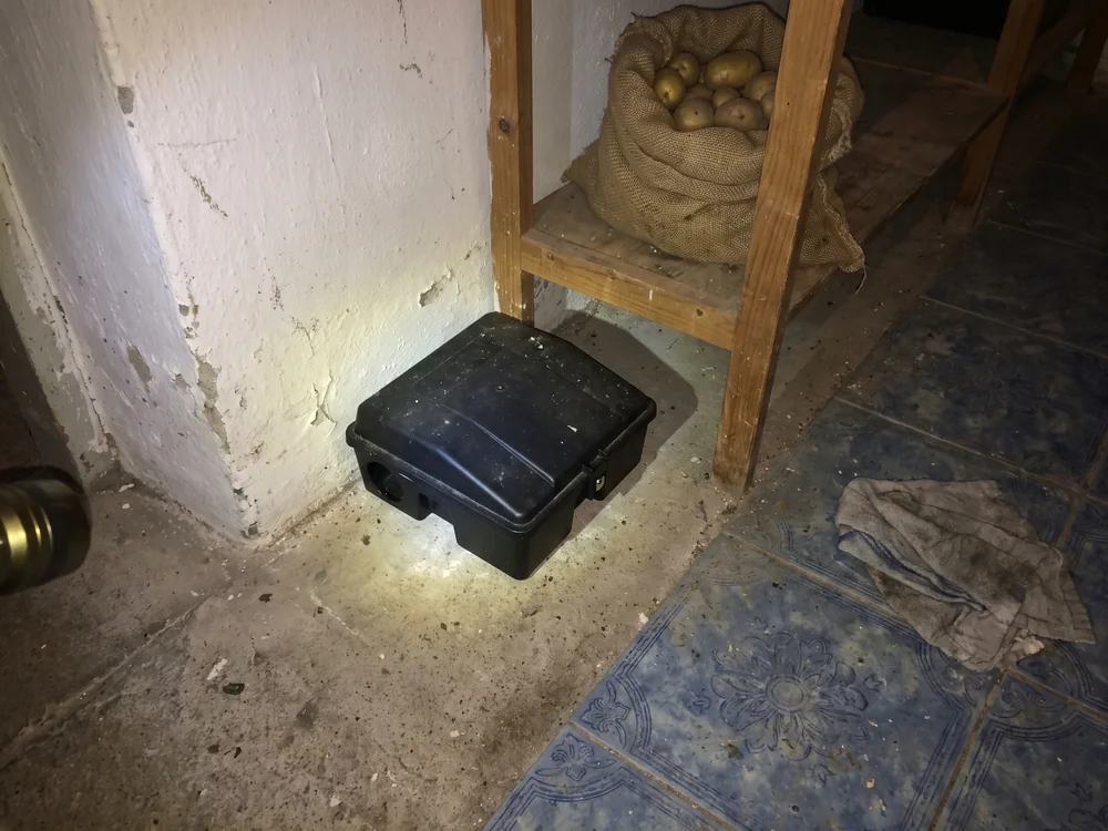 Ratten & Mäuse